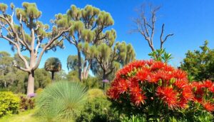 Native Australian Plants: Discover Their Unique Beauty and Ecological Importance