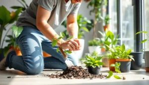 houseplant soil